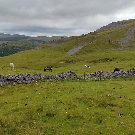 Pentre Cottage near Craig y Nos Pen-y-cae  Exteriör bild