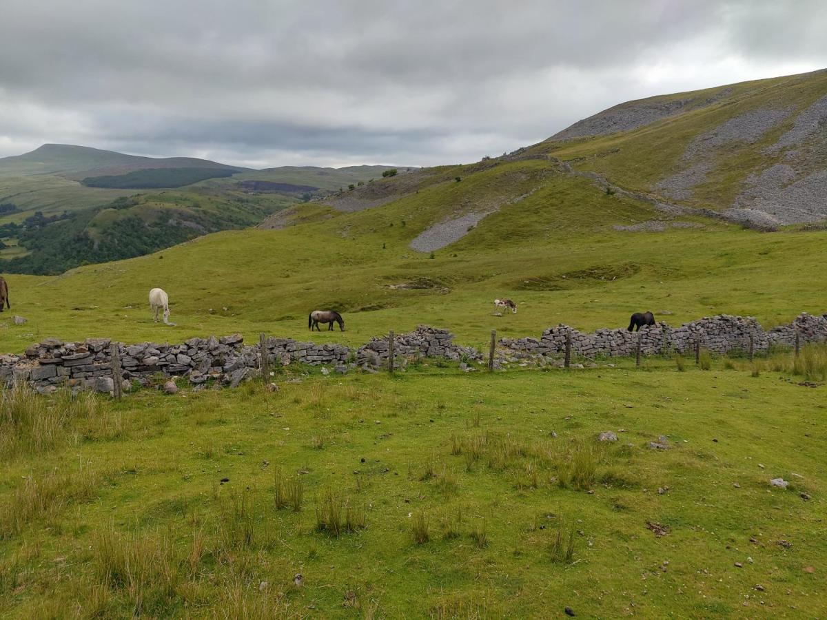 Pentre Cottage near Craig y Nos Pen-y-cae  Exteriör bild